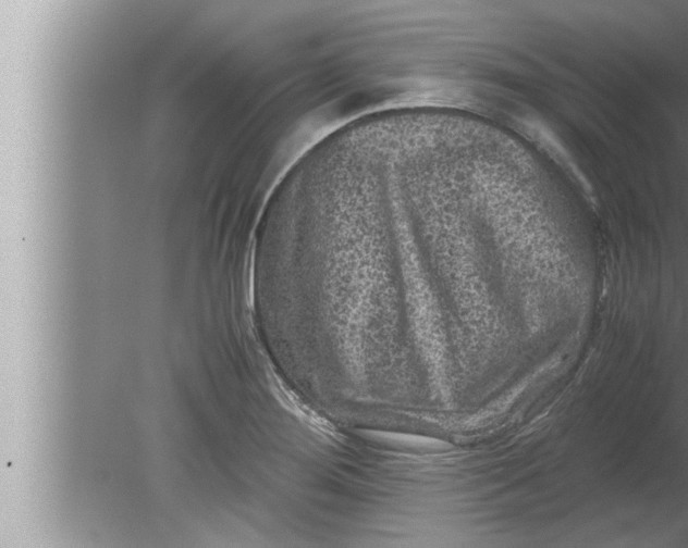 X0000080161276200612302144