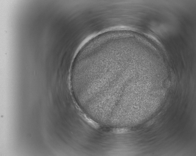 X0000080161278200612302144