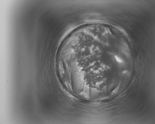 X0000080161279200612302144