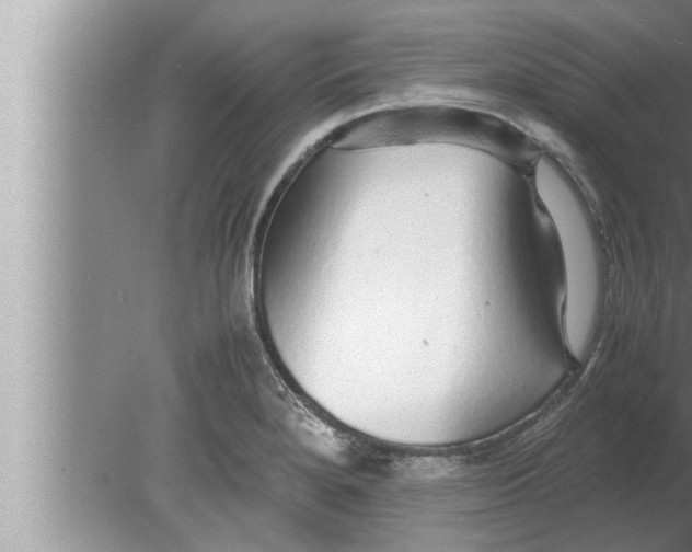 X0000080161280200612302144