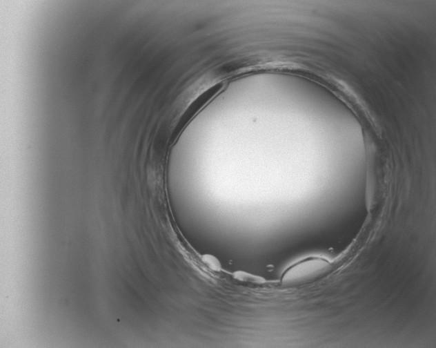 X0000080161281200612302144