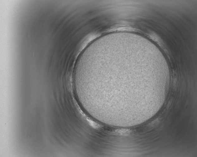 X0000080161282200612302144