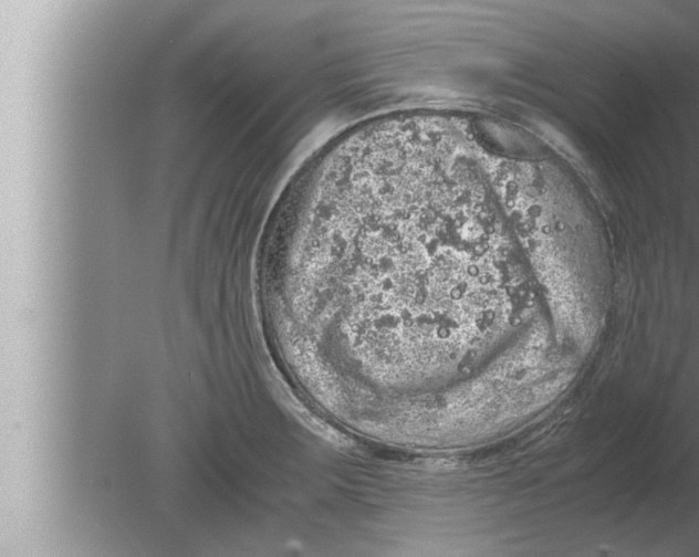 X0000080161283200612302144