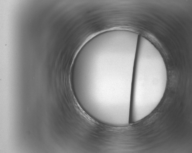 X0000080161284200612302144