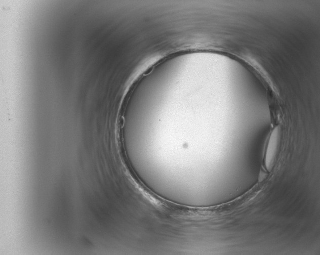 X0000080161285200612302144