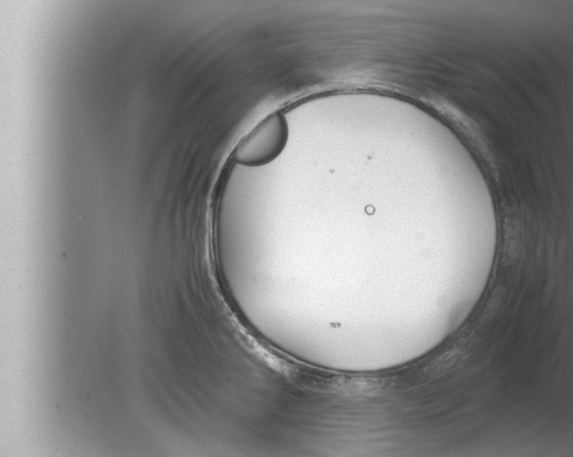 X0000080161286200612302144