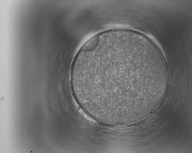 X0000080161287200612302144