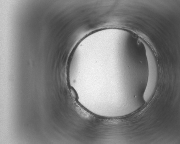 X0000080161288200612302144