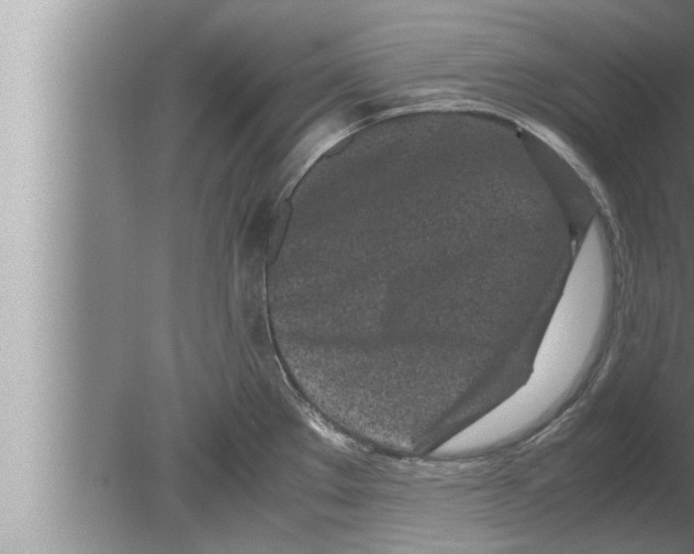 X0000080161289200612302144