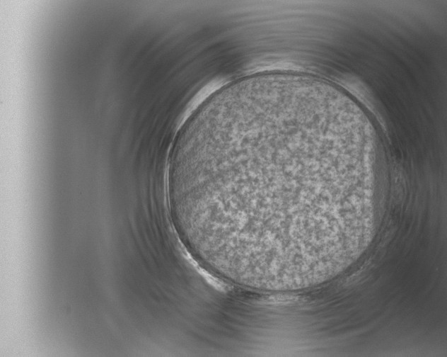 X0000080161290200612302144