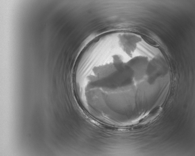 X0000080161291200612302144