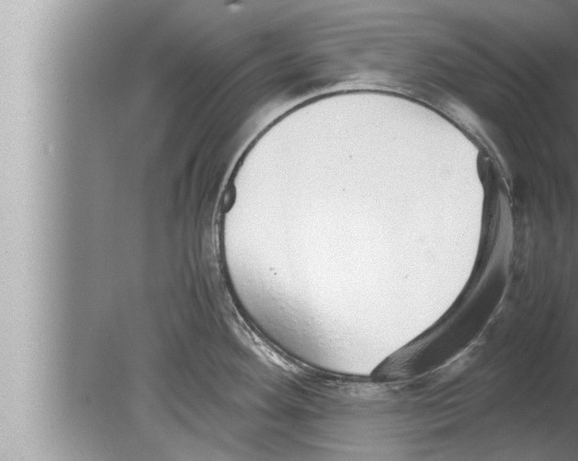 X0000080161292200612302144