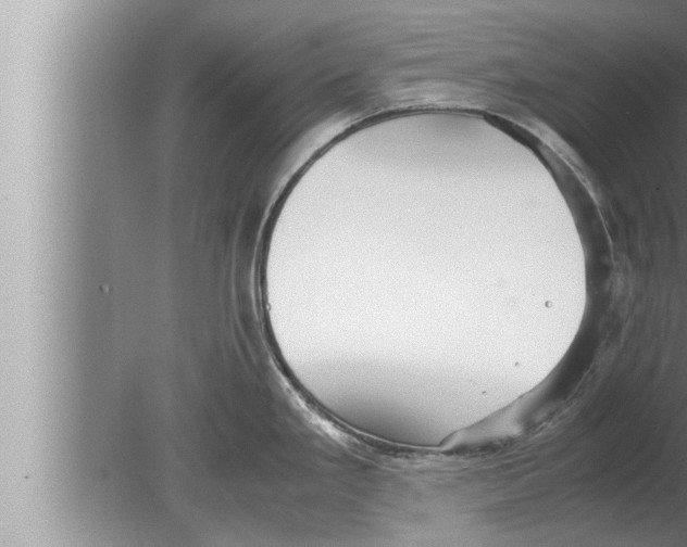 X0000080161293200612302144