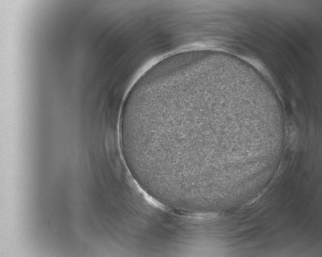 X0000080161294200612302144