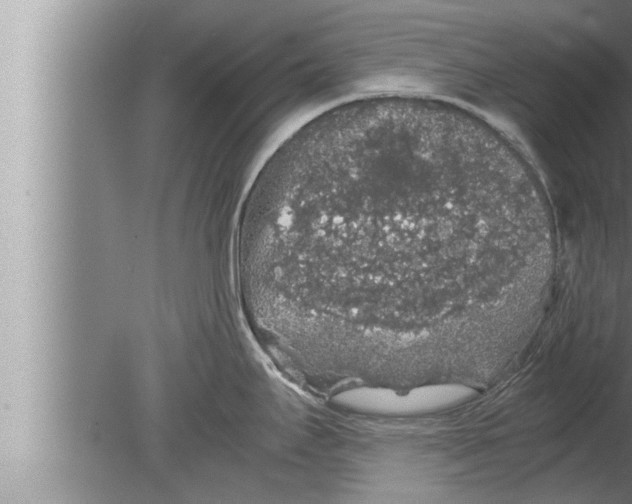 X0000080161295200612302144