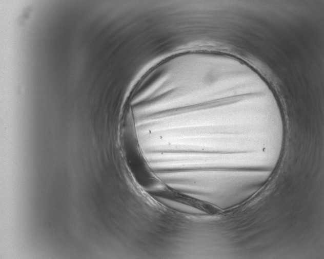 X0000080161296200612302144