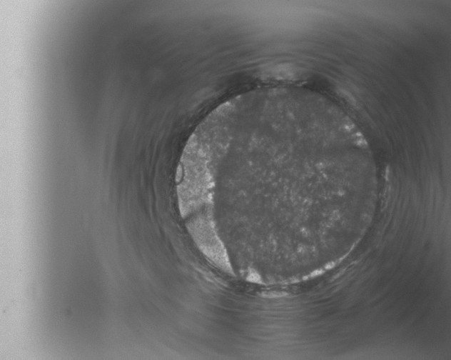 X0000080161297200612302143