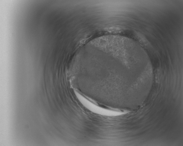 X0000080161298200612302143