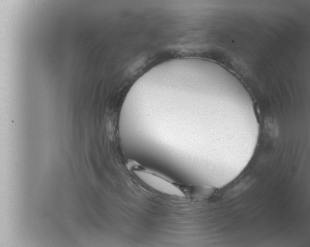 X0000080161300200612302143