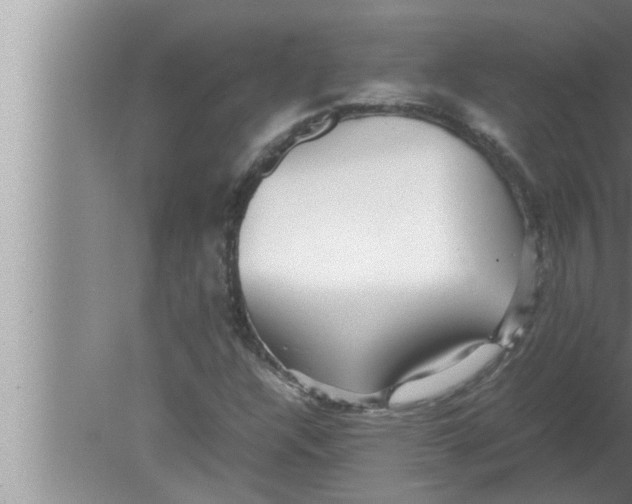 X0000080161304200612302143