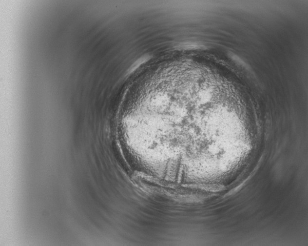 X0000080161305200612302143