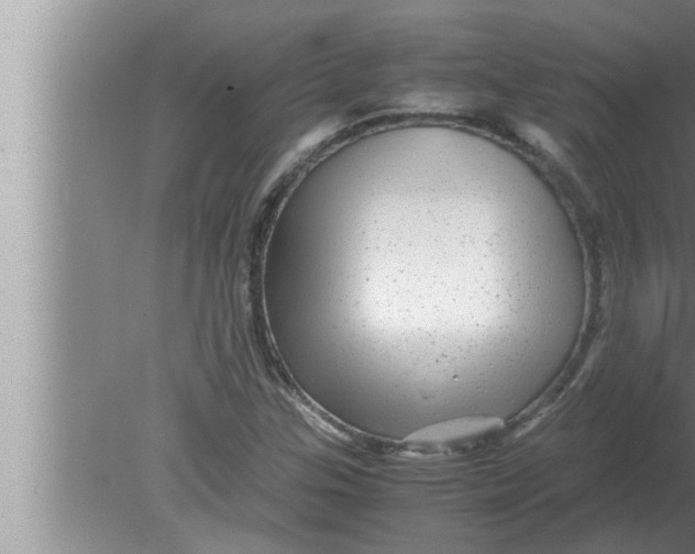 X0000080161307200612302143