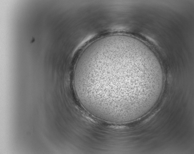 X0000080161309200612302143