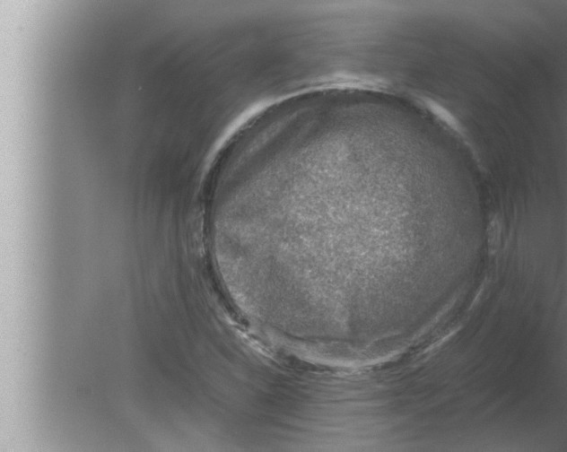 X0000080161310200612302143