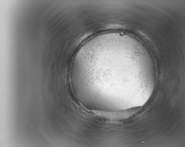 X0000080161313200612302143