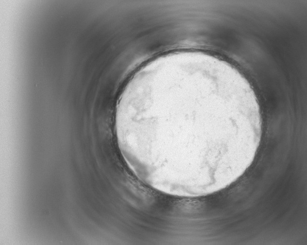 X0000080161314200612302143