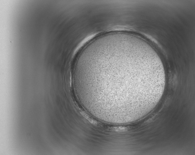 X0000080161317200612302143