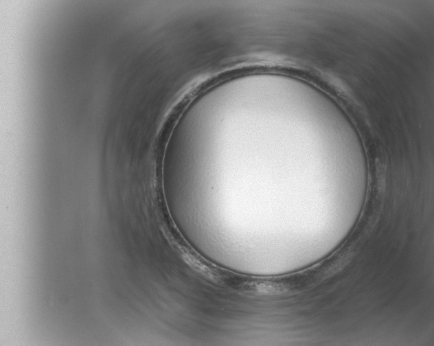 X0000080161318200612302143