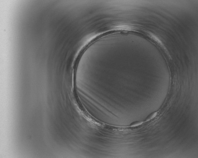 X0000080161323200612302143