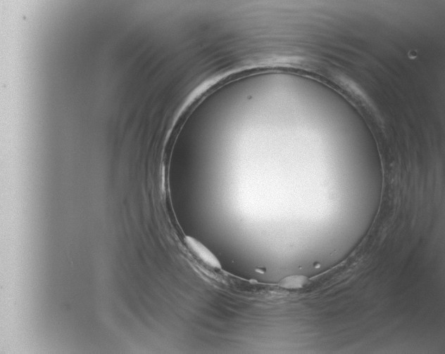 X0000080161324200612302143