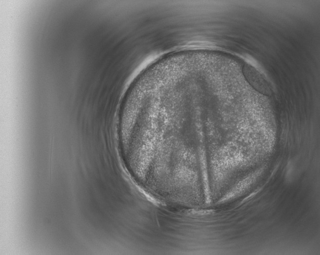 X0000080161325200612302143