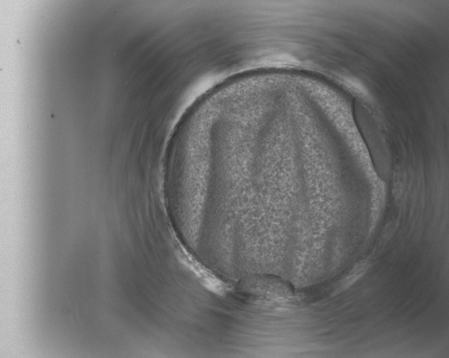 X0000080161326200612302143