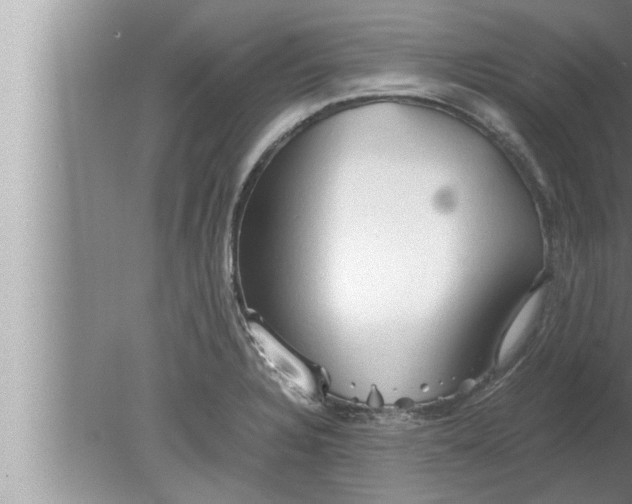 X0000080161328200612302143