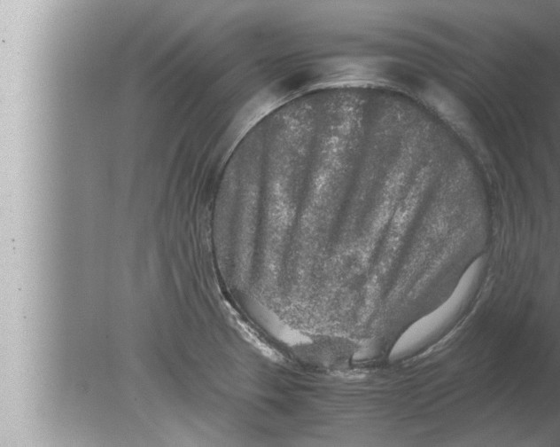 X0000080161329200612302143