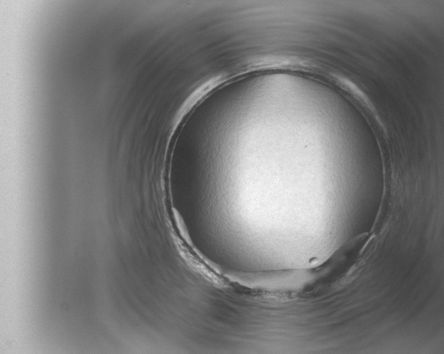 X0000080161330200612302143