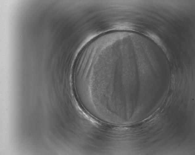 X0000080161331200612302143