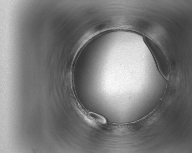 X0000080161332200612302143