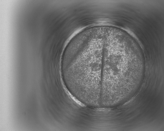 X0000080161333200612302143