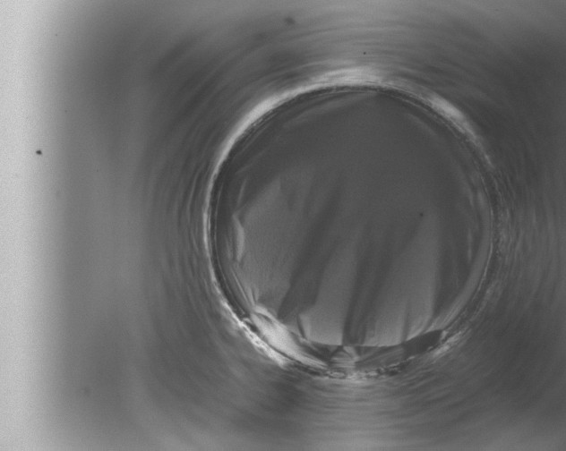 X0000080161334200612302143