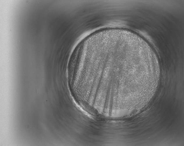 X0000080161335200612302143