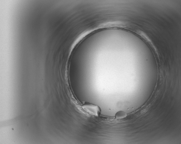 X0000080161336200612302143