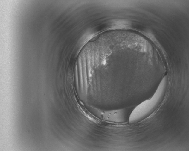 X0000080161337200612302143