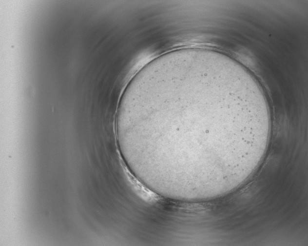 X0000080161338200612302143