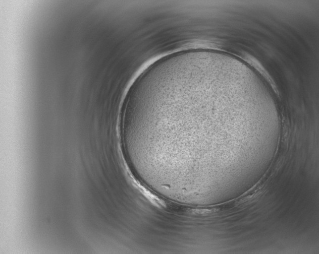 X0000080161339200612302143