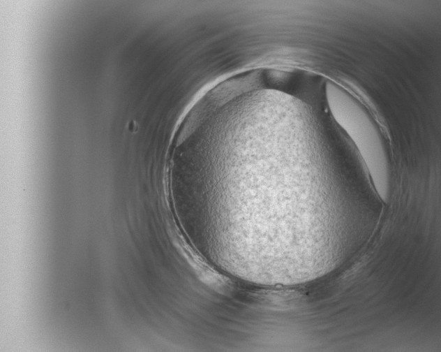 X0000080161340200612302143