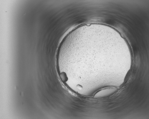 X0000080161341200612302144